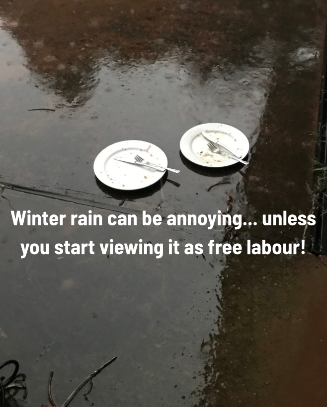 How to Survive Winter Without Becoming a Shit Cunt